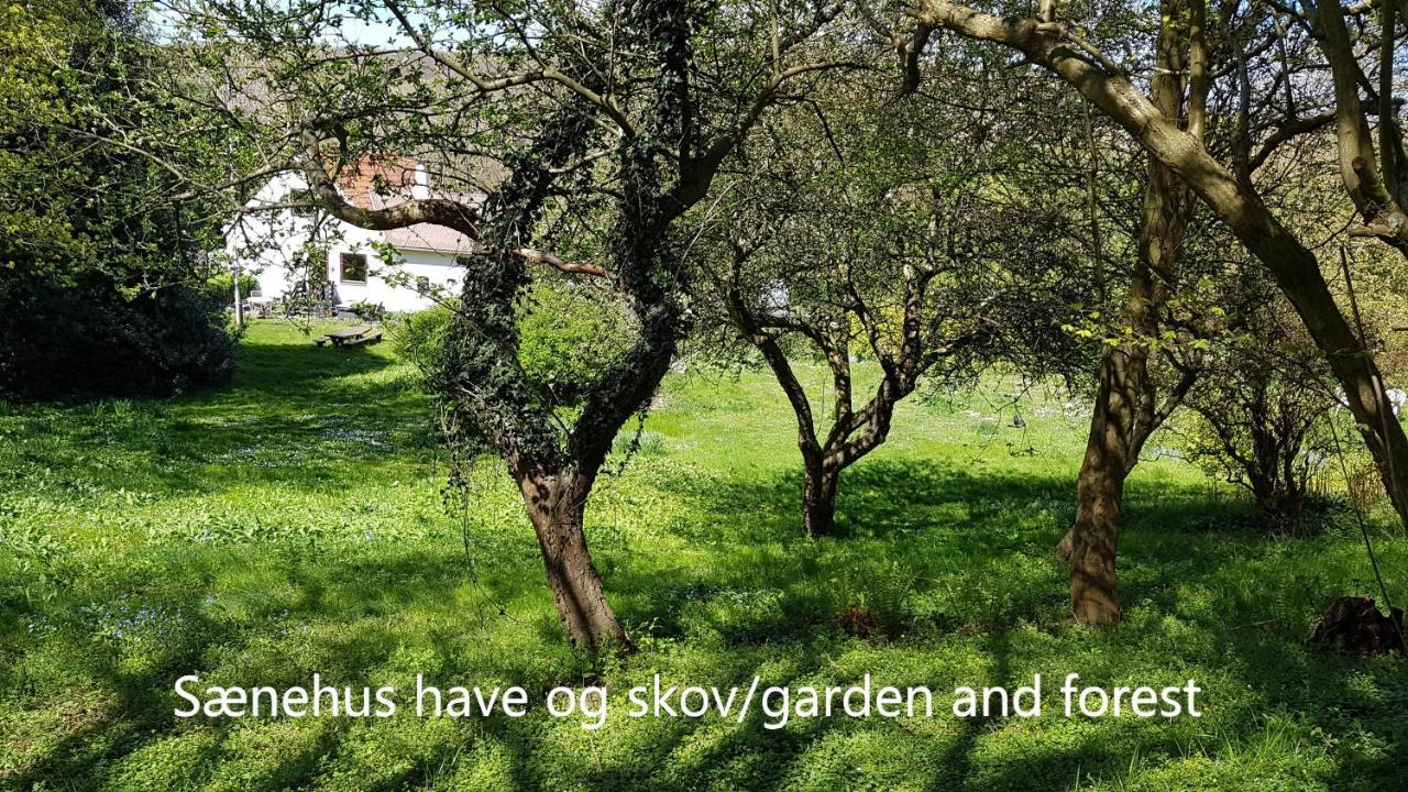 Villa Saenehus Husmandssted Allinge-Sandvig Exterior foto